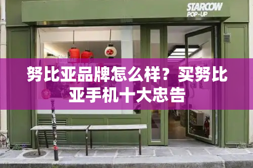 努比亚品牌怎么样？买努比亚手机十大忠告-第1张图片-星选测评