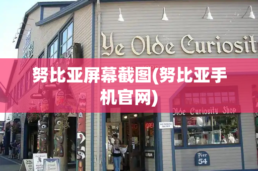 努比亚屏幕截图(努比亚手机官网)-第1张图片-星选测评