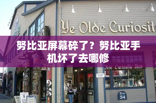 努比亚屏幕碎了？努比亚手机坏了去哪修-第1张图片-星选测评