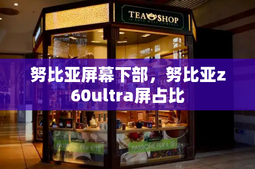 努比亚屏幕下部，努比亚z60ultra屏占比