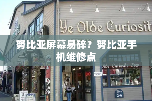 努比亚屏幕易碎？努比亚手机维修点-第1张图片-星选测评