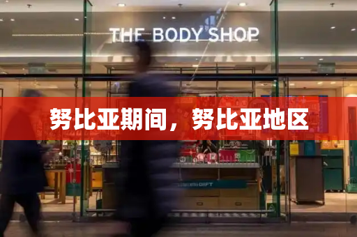 努比亚期间，努比亚地区