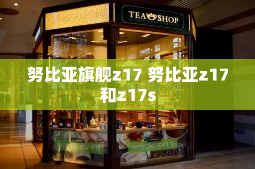 努比亚旗舰z17 努比亚z17和z17s