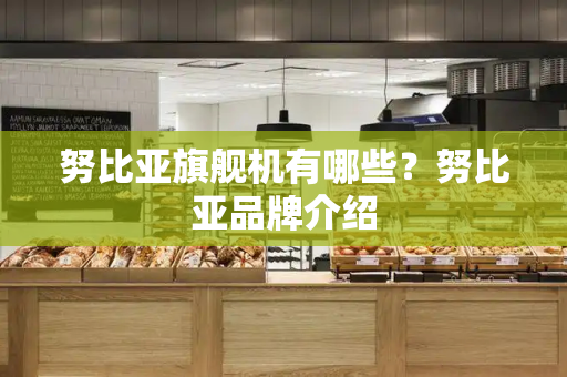 努比亚旗舰机有哪些？努比亚品牌介绍-第1张图片-星选测评