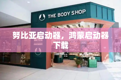 努比亚启动器，鸿蒙启动器下载-第1张图片-星选测评
