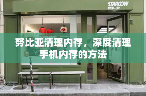 努比亚清理内存，深度清理手机内存的方法