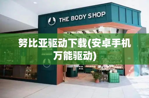 努比亚驱动下载(安卓手机万能驱动)-第1张图片-星选测评