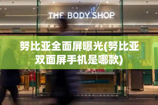 努比亚全面屏曝光(努比亚双面屏手机是哪款)