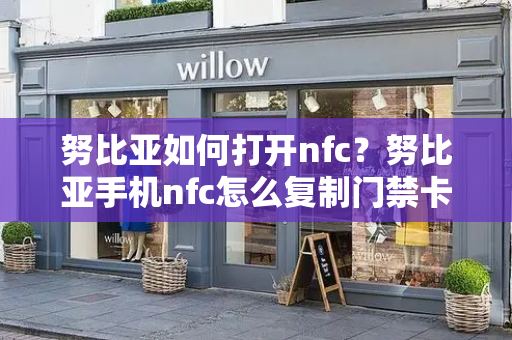 努比亚如何打开nfc？努比亚手机nfc怎么复制门禁卡-第1张图片-星选测评