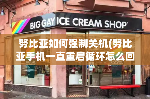 努比亚如何强制关机(努比亚手机一直重启循环怎么回事)-第1张图片-星选测评