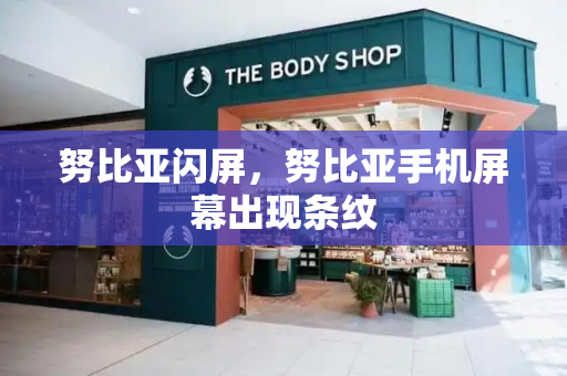 努比亚闪屏，努比亚手机屏幕出现条纹