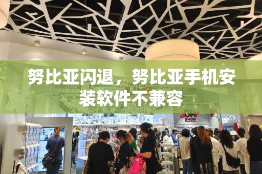 努比亚闪退，努比亚手机安装软件不兼容
