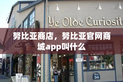 努比亚商店，努比亚官网商城app叫什么