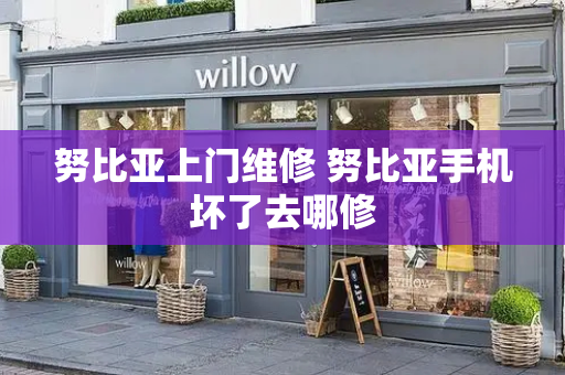 努比亚上门维修 努比亚手机坏了去哪修-第1张图片-星选测评
