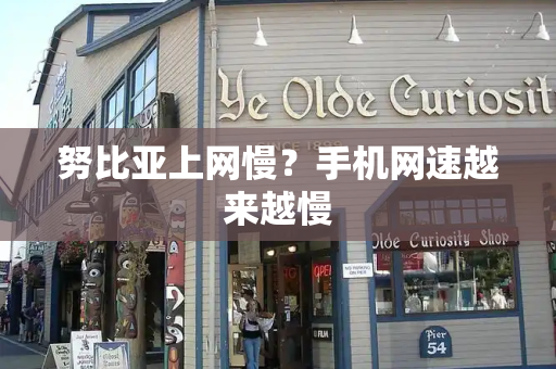 努比亚上网慢？手机网速越来越慢-第1张图片-星选测评