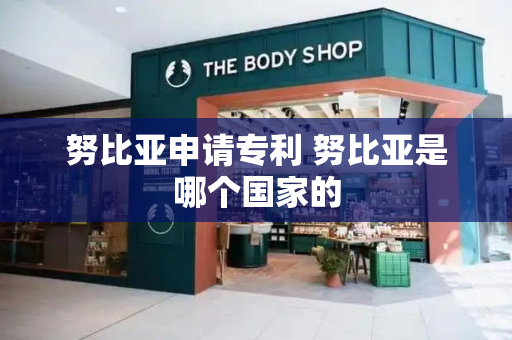 努比亚申请专利 努比亚是哪个国家的