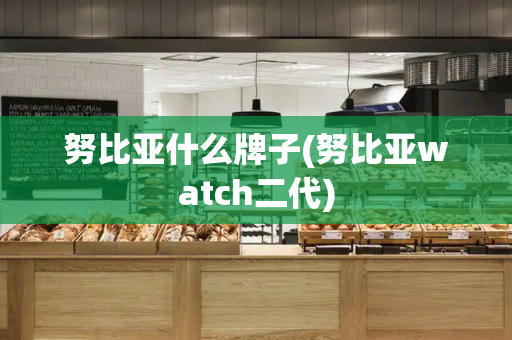 努比亚什么牌子(努比亚watch二代)