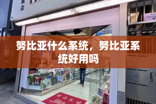 努比亚什么系统，努比亚系统好用吗