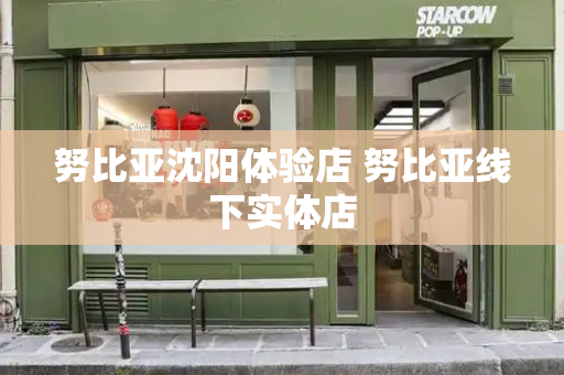 努比亚沈阳体验店 努比亚线下实体店