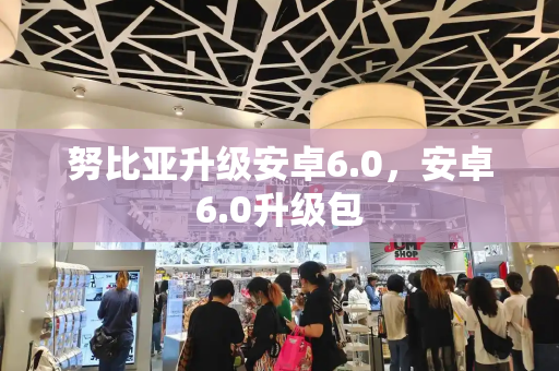 努比亚升级安卓6.0，安卓6.0升级包