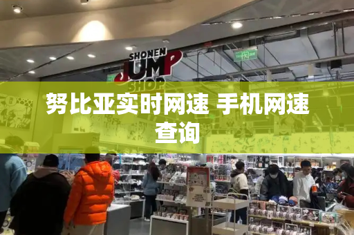 努比亚实时网速 手机网速查询-第1张图片-星选测评