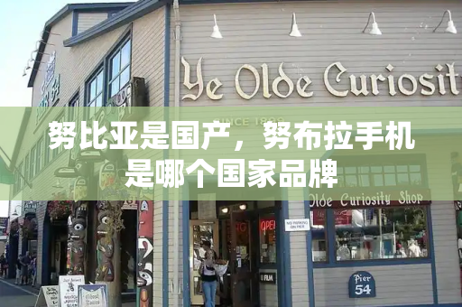 努比亚是国产，努布拉手机是哪个国家品牌-第1张图片-星选测评