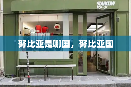 努比亚是哪国，努比亚国-第1张图片-星选测评