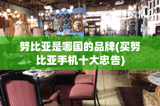 努比亚是哪国的品牌(买努比亚手机十大忠告)-第1张图片-星选测评