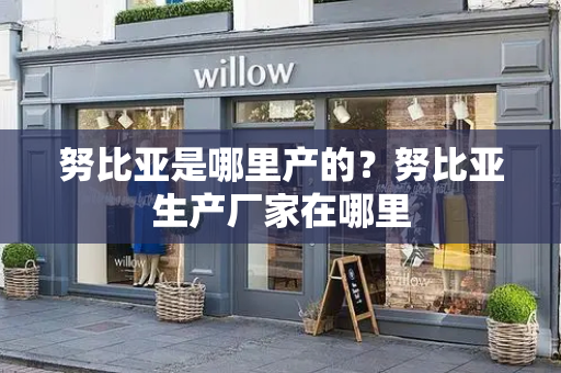 努比亚是哪里产的？努比亚生产厂家在哪里