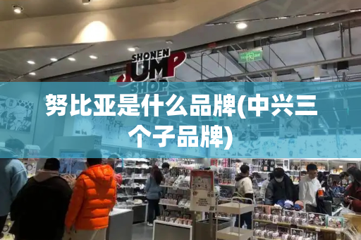 努比亚是什么品牌(中兴三个子品牌)