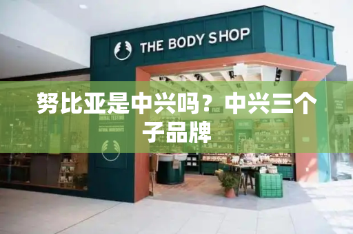 努比亚是中兴吗？中兴三个子品牌-第1张图片-星选测评