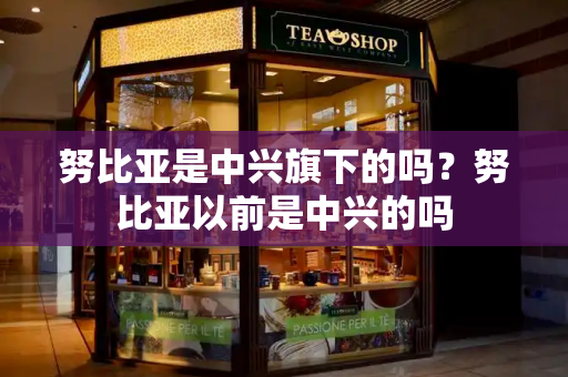 努比亚是中兴旗下的吗？努比亚以前是中兴的吗-第1张图片-星选测评