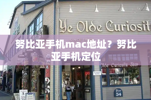 努比亚手机mac地址？努比亚手机定位-第1张图片-星选测评
