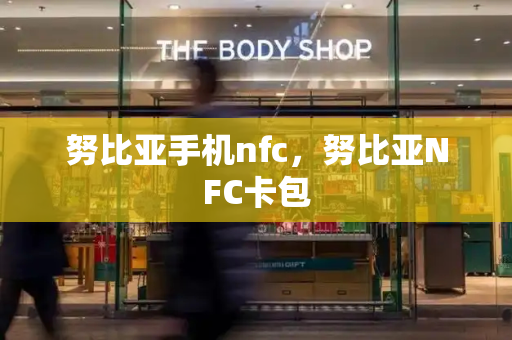 努比亚手机nfc，努比亚NFC卡包-第1张图片-星选测评