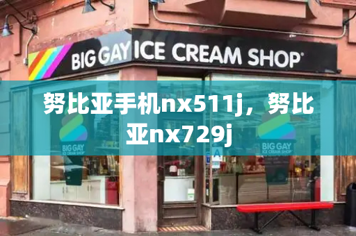 努比亚手机nx511j，努比亚nx729j