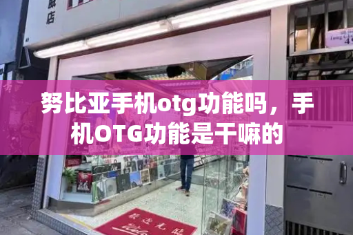 努比亚手机otg功能吗，手机OTG功能是干嘛的-第1张图片-星选测评
