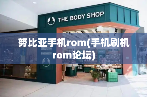 努比亚手机rom(手机刷机rom论坛)-第1张图片-星选测评
