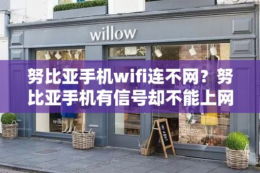 努比亚手机wifi连不网？努比亚手机有信号却不能上网-第1张图片-星选测评