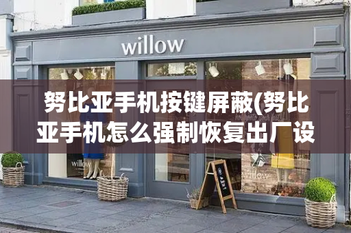 努比亚手机按键屏蔽(努比亚手机怎么强制恢复出厂设置)-第1张图片-星选测评