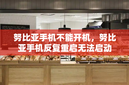努比亚手机不能开机，努比亚手机反复重启无法启动