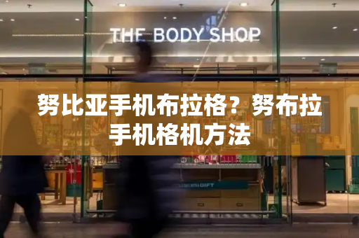努比亚手机布拉格？努布拉手机格机方法-第1张图片-星选测评