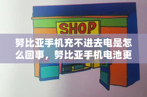 努比亚手机充不进去电是怎么回事，努比亚手机电池更换