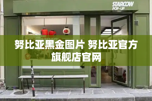 努比亚黑金图片 努比亚官方旗舰店官网-第1张图片-星选测评