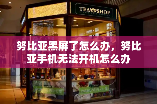 努比亚黑屏了怎么办，努比亚手机无法开机怎么办