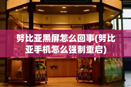 努比亚黑屏怎么回事(努比亚手机怎么强制重启)-第1张图片-星选测评