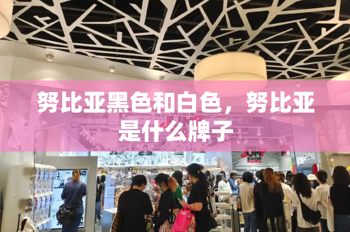 努比亚黑色和白色，努比亚是什么牌子