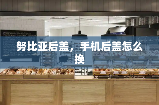 努比亚后盖，手机后盖怎么换-第1张图片-星选测评