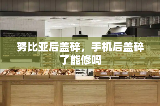努比亚后盖碎，手机后盖碎了能修吗-第1张图片-星选测评