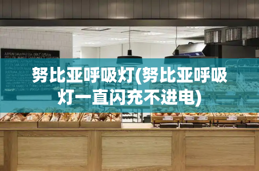 努比亚呼吸灯(努比亚呼吸灯一直闪充不进电)