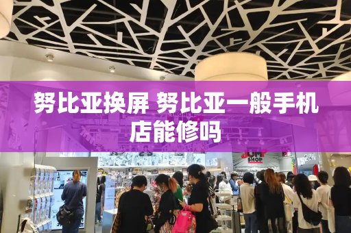 努比亚换屏 努比亚一般手机店能修吗